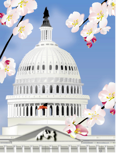 Capital Building, Washington D.C.